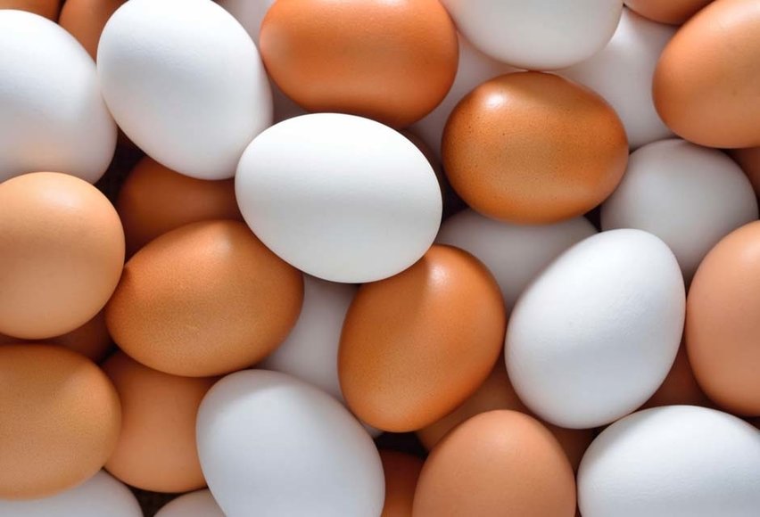 Как определить свежесть куриных яиц