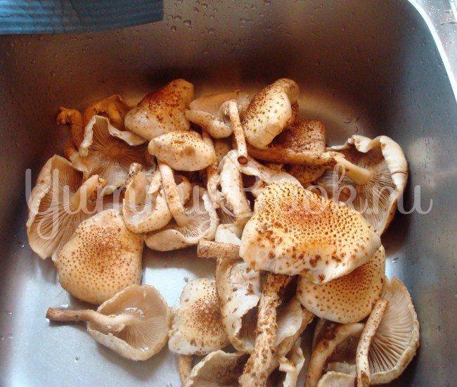 Маринованные грибы - шаг 2