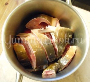 Заливное из карпа с буряком - шаг 9