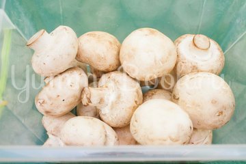 Маринованные шампиньоны на мангале - шаг 1